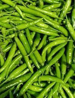 BJUBAS Green chilli seeds hybrid all season pack of 80 Seed(80 per packet)