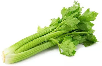 ENTENT Celery Vegetable/Herb Seed(150 per packet)
