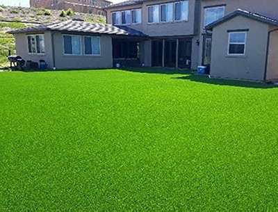 LPR GHAS,GRASS Seed(50 per packet)