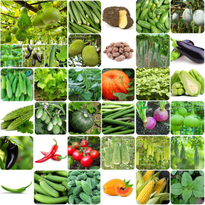Khushi Prova 40 Variety Of Vegetable Seeds Combo Pack With Instruction Manual Seed(2200 per packet)
