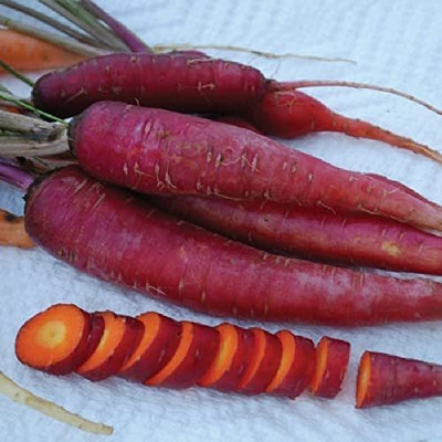 VibeX ® VLR-533 Carrot Seeds - Atomic Red Seed(500 per packet)