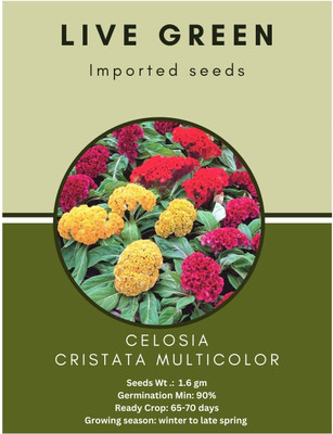 Udanta Live Green Imported Seeds - Celosia Cristata Cockscomb Mix Seed(1 per packet)