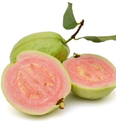 Lorvox Guava, Amrood, Amrud, Psidium, Guajava Seed(75 per packet)