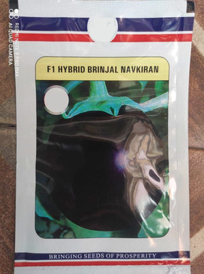 CYBEXIS XLR-74 - F1 Hybrid Brinjal Navkiran - (450 Seeds) Seed(450 per packet)