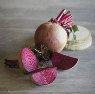 Quentova Beetroot - Boston-QLTY Seed(200 per packet)