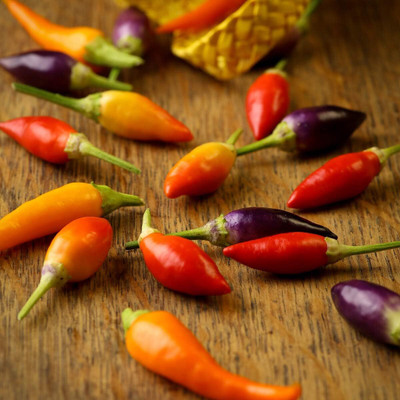KNESSiN Disease-Resistant Prairie Fire Hot Chilli Seeds For Planting-(1200 Seeds) Seed(1200 per packet)