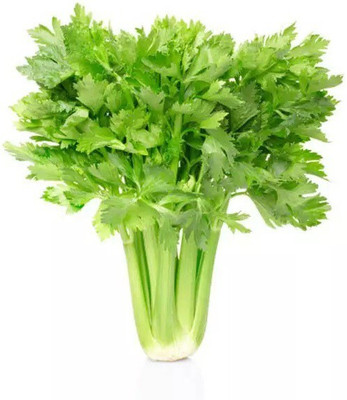 Quentova Organic Green Vegetables Chinese Celery-11K-TKK Seed(200 per packet)