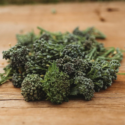 WILLVINE HAR -VI Calabrese Green Broccoli [1g] Seed(300 per packet)