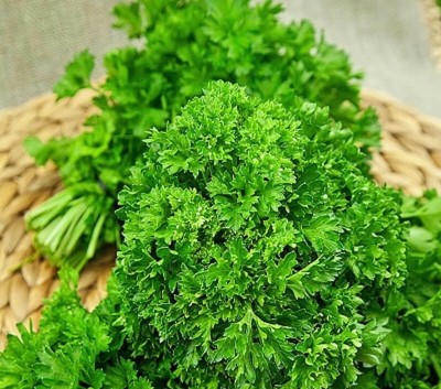 SOWCAN Triple Curled Parsley Petroselinum crispum Seed(100 per packet)