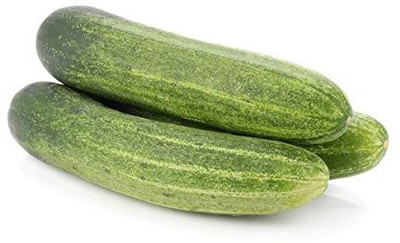 VibeX ® LXI-731 F1 Hybrid Cucumber SEEDS Seed(200 per packet)
