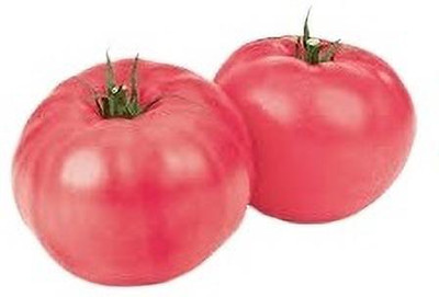 VRAKSHA ORGANIC TOMATO Seed(2000 per packet)