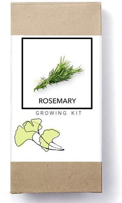 Biosnyg F1 Herb Seeds Rosemary[500 Seeds] Seed(500 per packet)