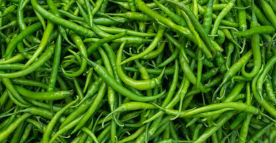 BJUBAS Chilli seeds all variety combo pack of 55 Seed(55 per packet)