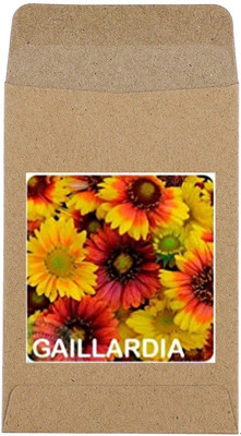 CYBEXIS Gaillardia Flower Seeds-50 Seeds Seed(50 per packet)