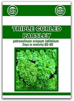 Qualtivate NDIR-155 Herb Curly-Leaf Parsley Paramount Green Seed(500 per packet)