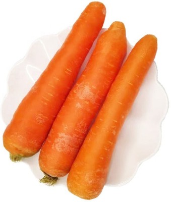 Quentova Orange Carrot/Gaajar Gardening-6C-VXI Seed(250 per packet)