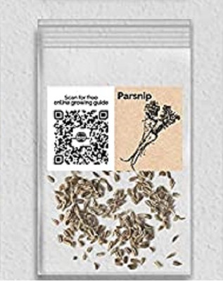 WILLVINE Organic F1 Hybrid Parsnip-5000 Seeds Seed(5000 per packet)