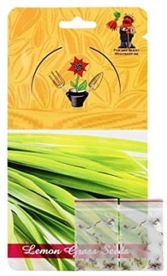 VibeX GBPUT-78 - Lemon Grass Mosquito Insect Repellent - (2250 Seeds) Seed(2250 per packet)