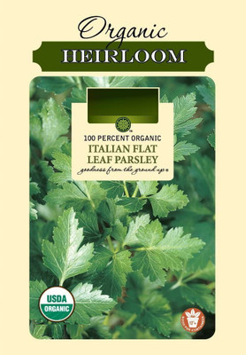 CYBEXIS XL-12 - Italian Flat (Organic) Parsley - (250 Seeds) Seed(250 per packet)