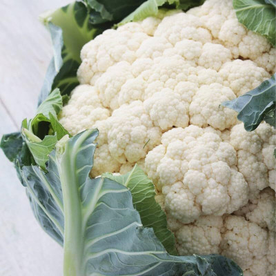 Aywal HIGH QUALITY Cauliflower Seed(40 g)
