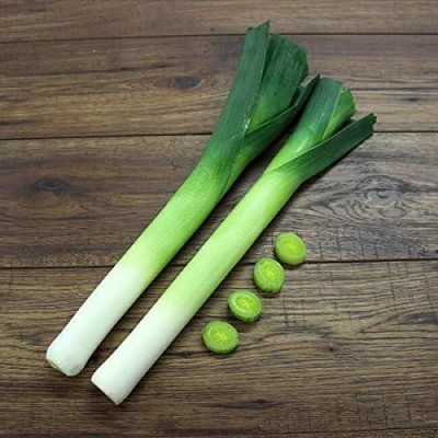 KANAYA Green Onion Seeds For Home Kitchen Gardening Seed(40 per packet)