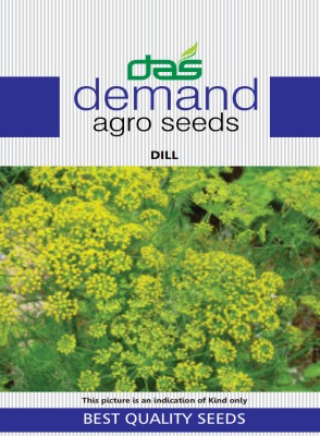 KRASHAK Dill, Flower, Herb, Seeds Seed(2 per packet)