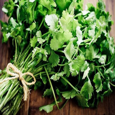 B.Amulya Enterprice Organic and high quality coriander Seed(100 per packet)