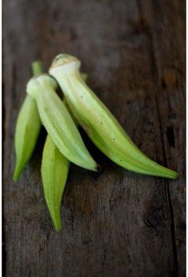 Qualtivate PUAS-3A Silver Queen Okra Seed(350 per packet)