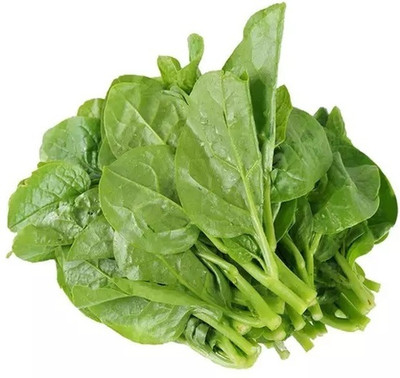 Quentova Palak Spinach Vegetables-VOX-11F Seed(300 per packet)