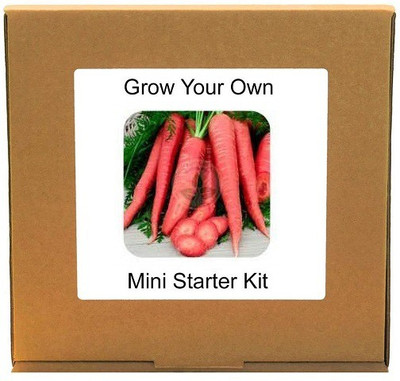 CYBEXIS Ooty Carrot2000 Seeds Seed(2000 per packet)