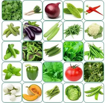 Cloud Farm Summer Hybrid Vegetable Seeds With Instruction Manual (Pack of 10 Variety) Seed(4000 per packet)
