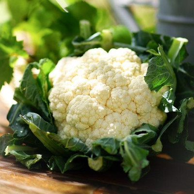 KNESSiN Snowball Y Cauliflower Seed(200 per packet)