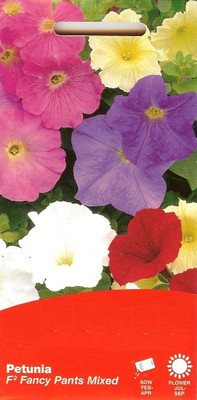 CYBEXIS Petunia Rapide Mixed F1 (Trailing) Seed(50 per packet)