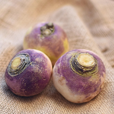 Quentova White Purple Ball Turnip/Shalgam-SNIG-7K Seed(200 per packet)