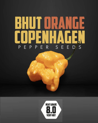 Biosnyg Hybrid Hot Bhut Orange Pepper Seeds for Home Gardening-(4000 Seeds) Seed(4000 per packet)