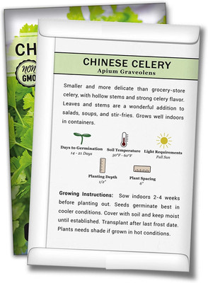 WILLVINE Chinese Celery Seeds Seed(5000 per packet)