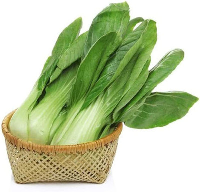 CYBEXIS F1 Hybrid White Cabbage Seeds-250 Seeds Seed(250 per packet)