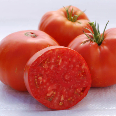 Quentova Tomato Brandywine Red-KTK-7F Seed(250 per packet)