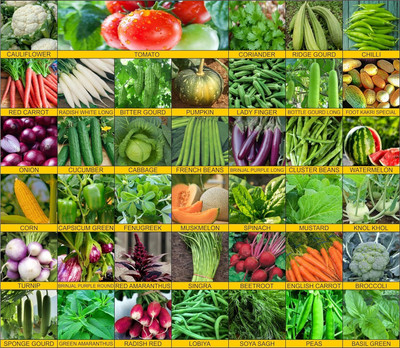 Onecare Vegetable Seeds Seed(20 per packet)