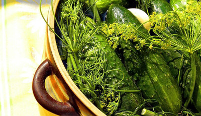 CYBEXIS Seeds of Vegetable Cucumber Gherkin F1 Pickler2000 Seeds Seed(2000 per packet)