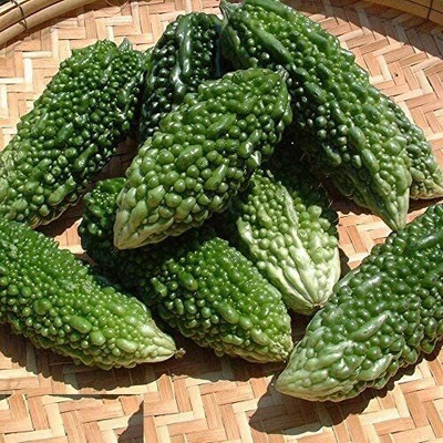 GREENSEA High Yielding Bitter Gourd, Uchchhe, Karela Seed(32 per packet)