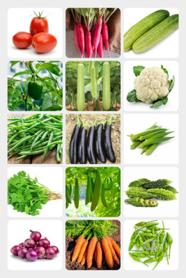 DEYS AGRO ™ 15 variety hybrid vegetable seeds combo pack Seed(509 per packet)