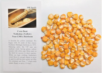 Qualtivate PUAS-2A Corn Dent Nothstine(Yellow) Seed(400 per packet)