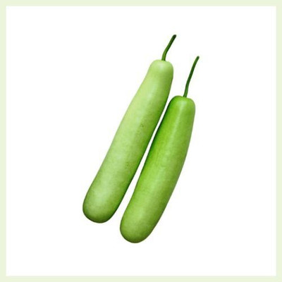 RUDRAAMAA igh Quality Long Bottle Gourd (Ghiya/Lauki) Seed(50 per packet)