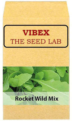 CYBEXIS Wild Rocket Hybrid Seeds700 Seeds Seed(700 per packet)