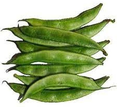 Aywal SEM PHALI DOLICHOS BEANS F1 HYBRID Vegetable Seed(39 per packet)