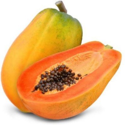 Quentova Super Sweet Papaya Seed-RAJ-11W Seed(40 per packet)