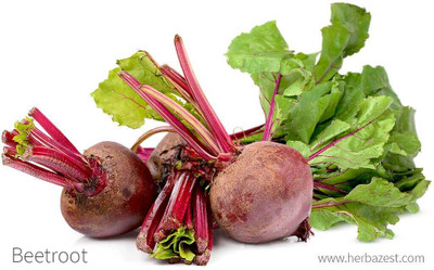 Cloud Farm Hybrid Red Beet Seed, Best Beetroot - Chukandar Vegetable Seed For Home Garden Seed(250 per packet)