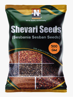 Numinous Shevri, Shevari, Sesbania Sesban Seed(500 g)