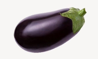 Quentova Brinjal-VISHVA Seed(500 per packet)
